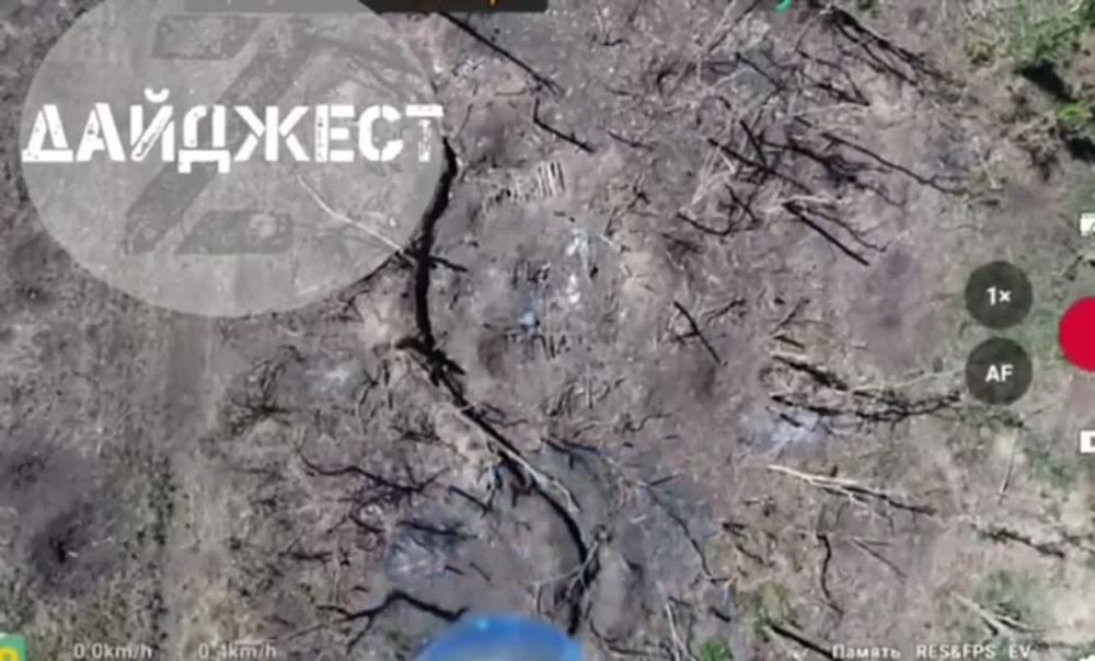 ���������� �po� ����� �������� ����