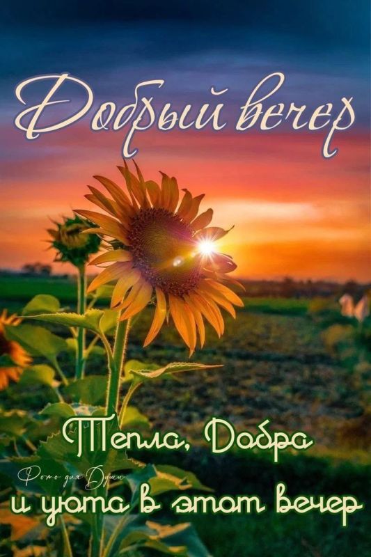 ���� ������� ������, ������!