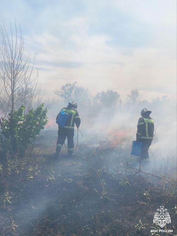 ����������� ���������� �� 15 ���� �� ���������� ���������� �������