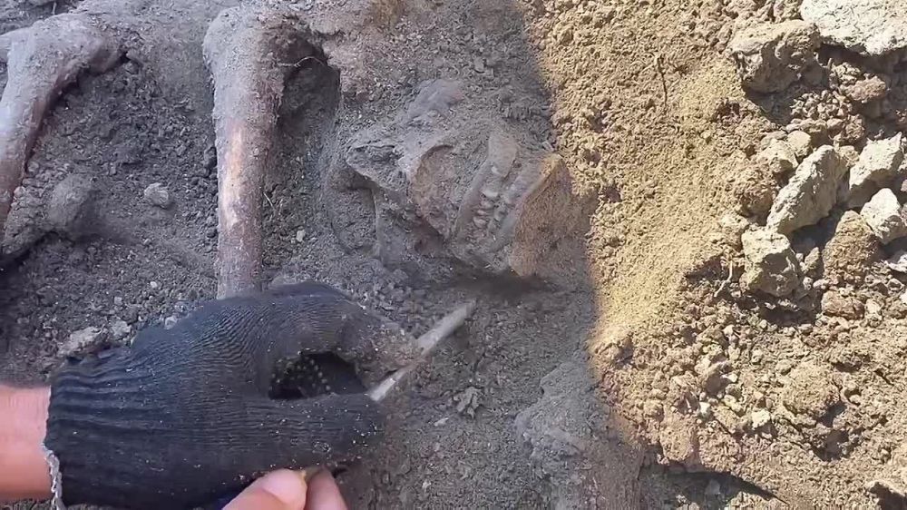 ��������-�������������� ������ � ������ ���������� ��������� ������� �� ���������� ��������� � ���� ������� ������������� ����� ������������