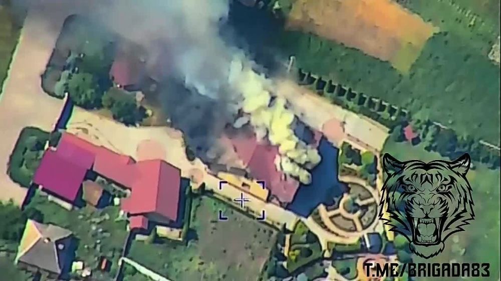 ������ �����-��������� �������� �� ������ ���������� ���������