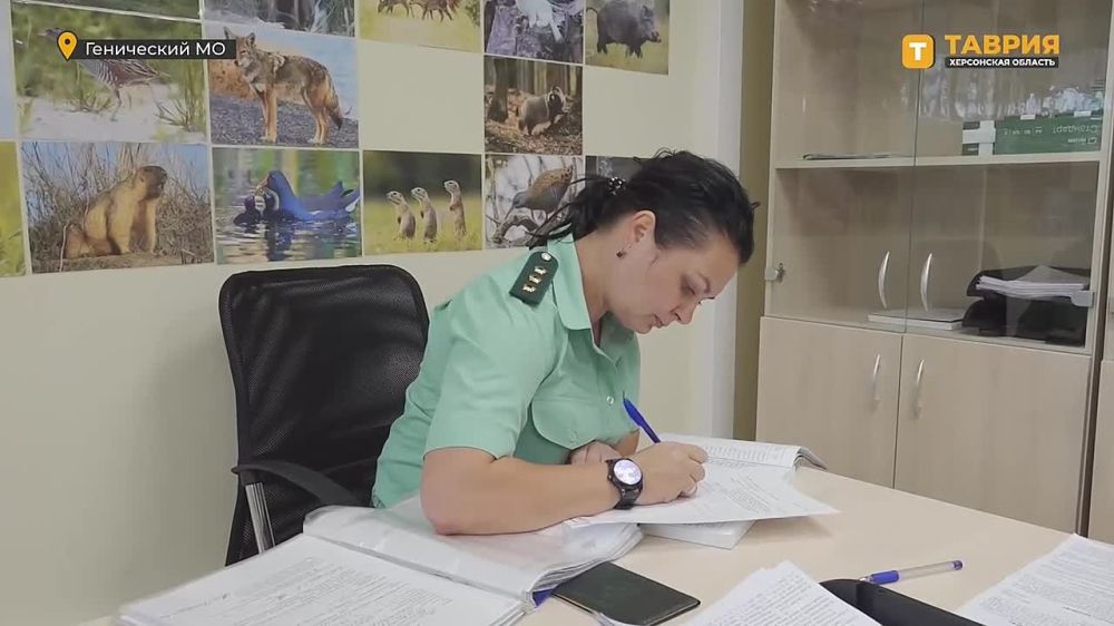 � ���������� ������� ���������� ������ ���������� �������