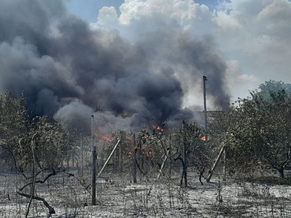 ���������� ����� ������������� �������������� ����� � �����������