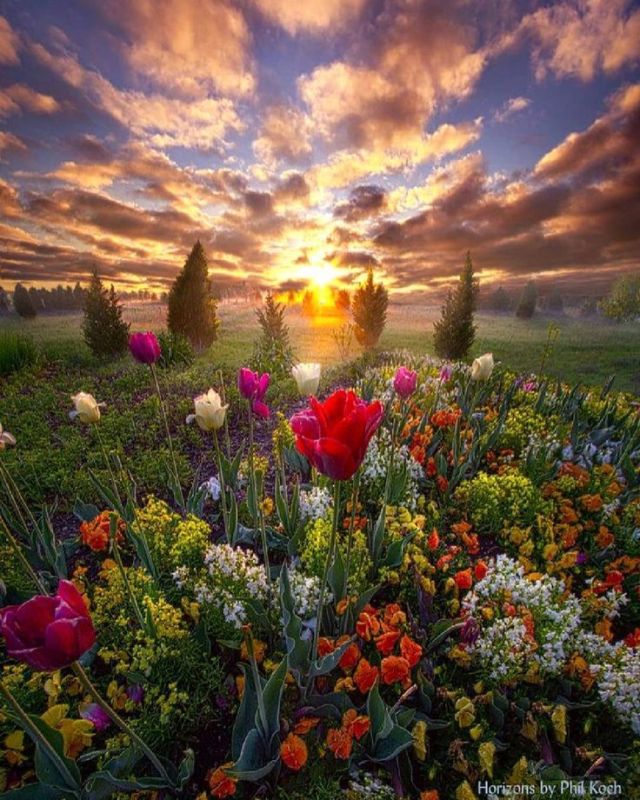 ���� ������� ������, ������!