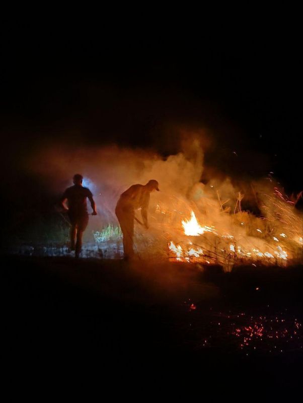 ���������� ���������������� ����������� ���������� ������ � ������� ��������