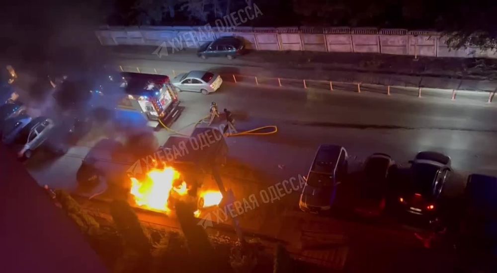 ������ ��������: � �������� ����� ����� �������� ������� �����, ������� ��� ������