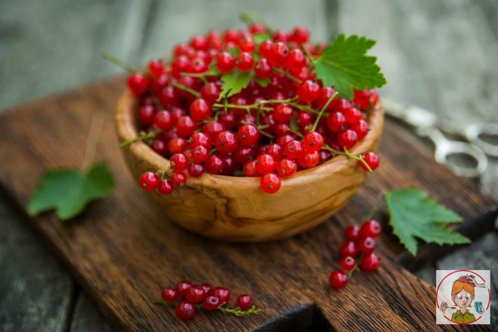 ��� ������ ������������ ������� ��������� ��� ��������