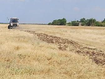 ������������ ����� ������ �� ������ �����