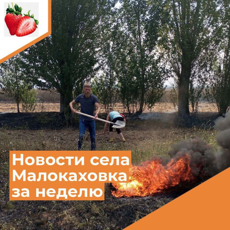 ������� ���� ����������� �� ������ � 8 �� 14 ����