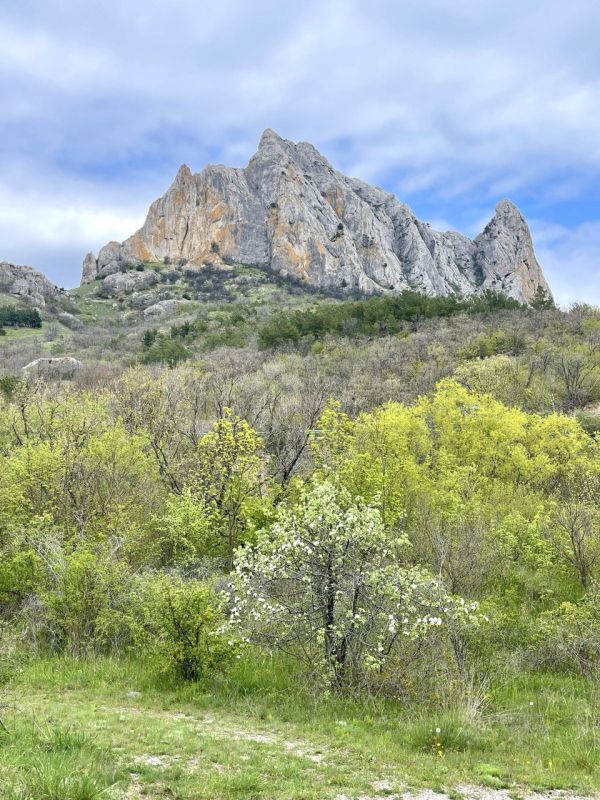 ��������� ������. � ����� ������� �� ������ �����-�������� �������� ������-���. ��� ���������� ���, �������� �� ��� �������� ����