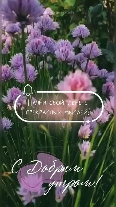 ������ ����, �������� ���