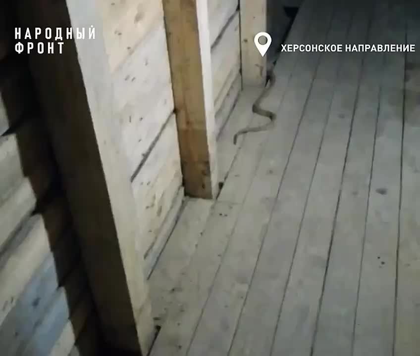 � ����� ������� � ��� ����