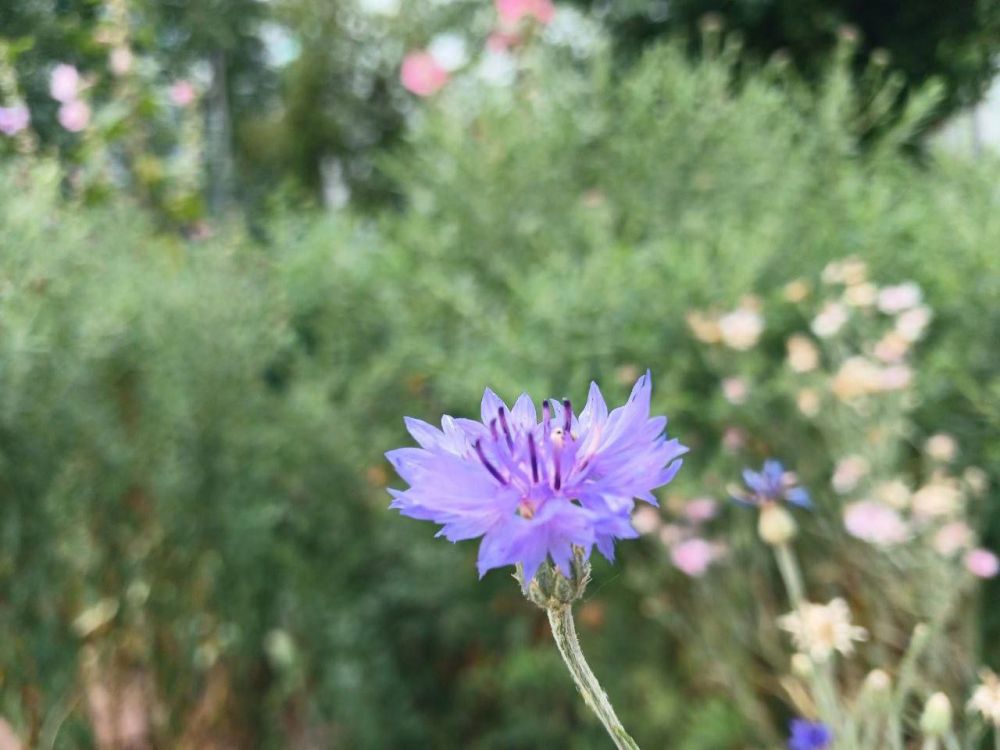 � ������ �����, �����������!