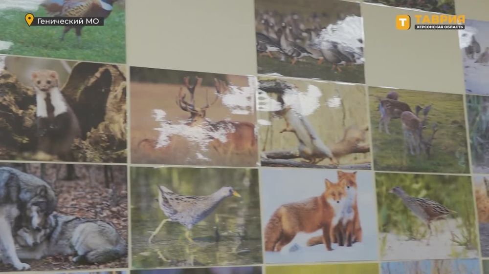 � ���������� ������� �������� ������ ���������� �������