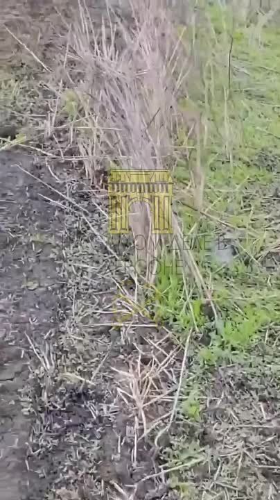 ������� ����� �������� � ��������� ������������ ���������������� ������