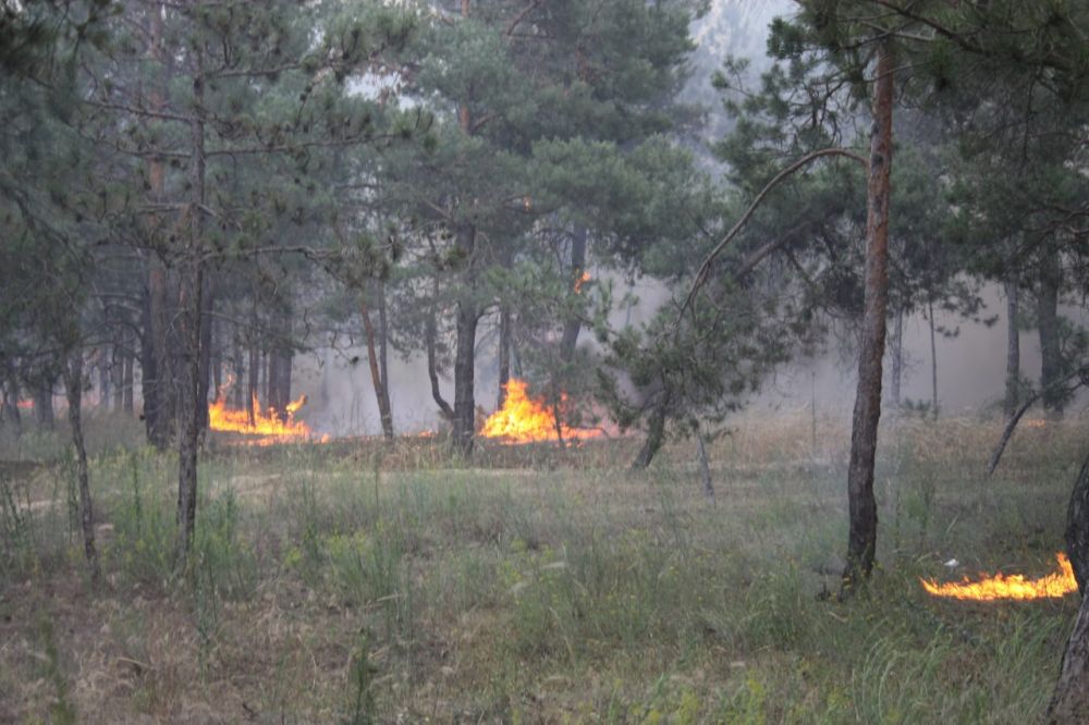 �� ���������� ��� �� "���������� ������������� ���������" �� ���� �������� 22 ������