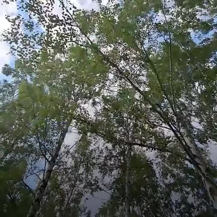 ���� �� ��������� ���������� ������������� �� ������� ���������� � ��������