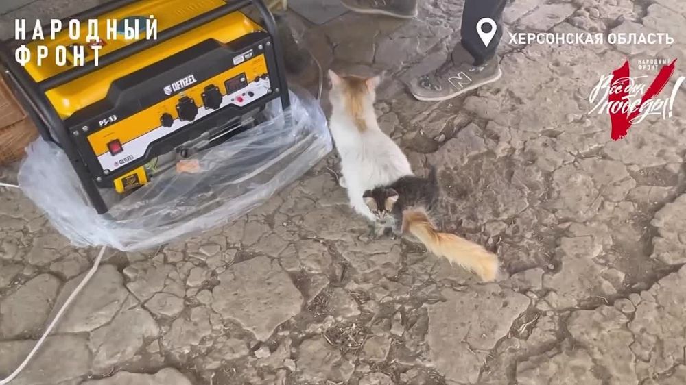 ���������� ������ �� ��������� ���� ����������