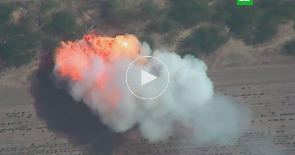 ���������� �������� ����������� ������������ ��������� Paladin