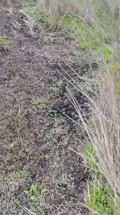 ���������� ������������ ������ ���������� ������� � ��������� ���������������� ������