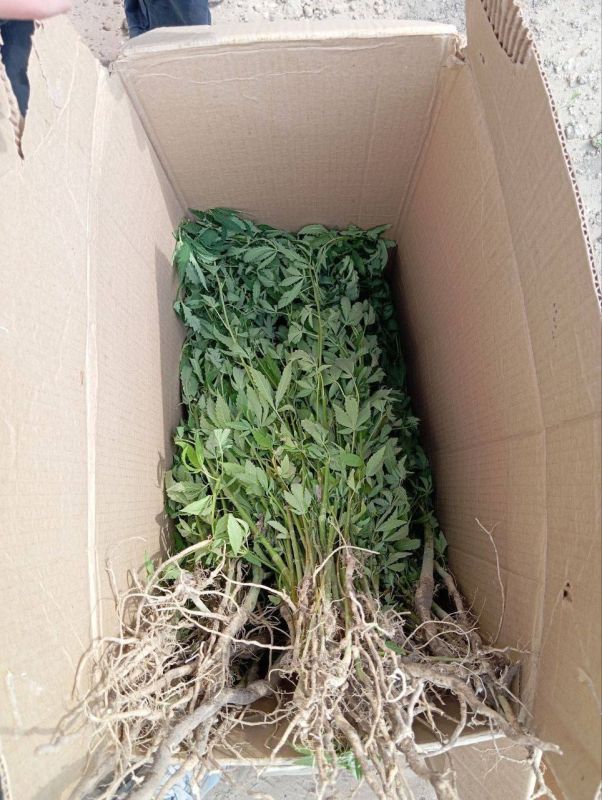 � ���� ���������� �������� �������, ������� ��������� �� ����� ������� �������, �������� � ������� ����������