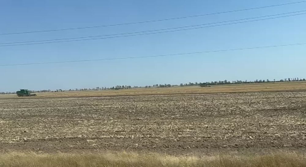 ������, ���� - ������ �����, ������, ��������, � ���� ������� ���������� ������� ������ � �������������� ����� �� ����� ����������