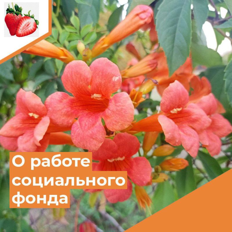 ��������� ������ �����������!