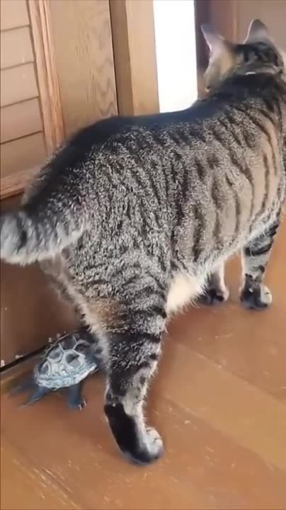 �� ���� ����� ��������, �������� �� �������, ���� � � �����