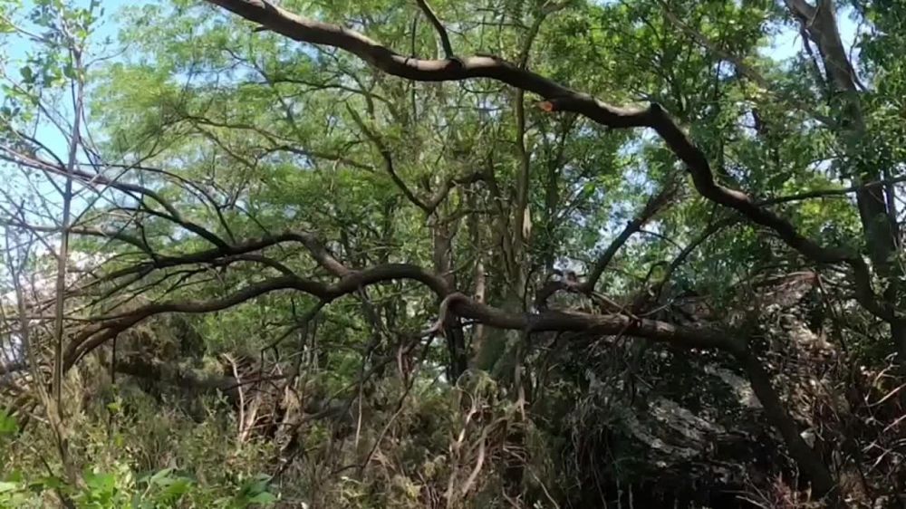 ��������� ������� ����� �������� ��� �� ������������ ������ �������� ������ ������� �����