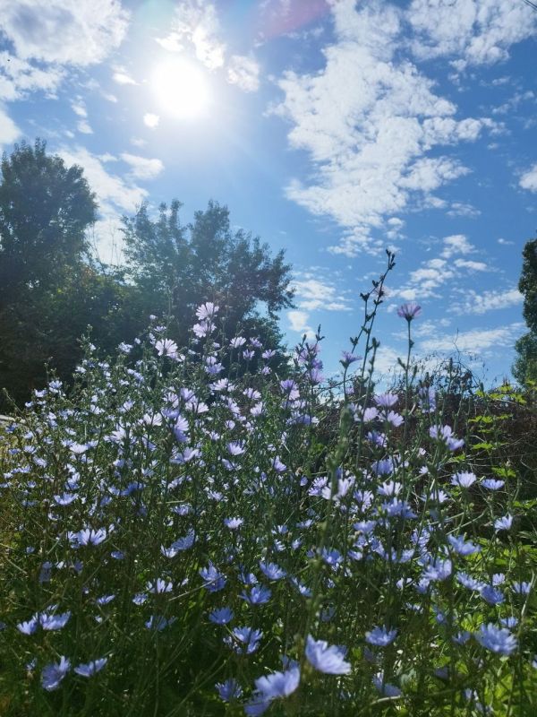 � ������ �����, �����������!