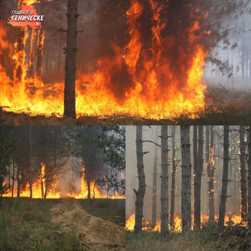 ����� 20 ������� ����� �������� 745 �������� �� ���������� ����������� ������� ������������� �� ����