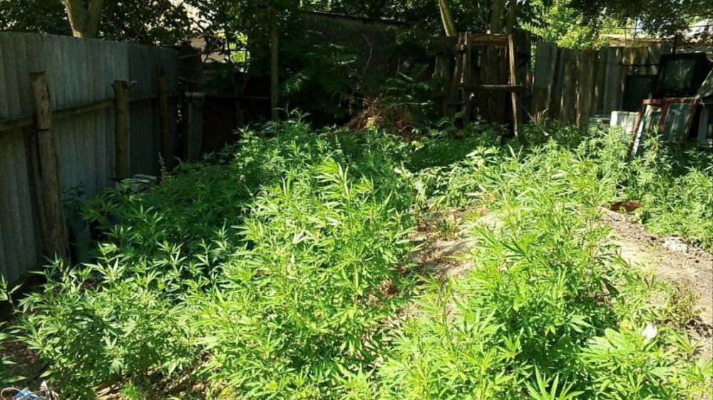 � ���������� ������� ���������� ������� �������� ���������� ��������������� �������