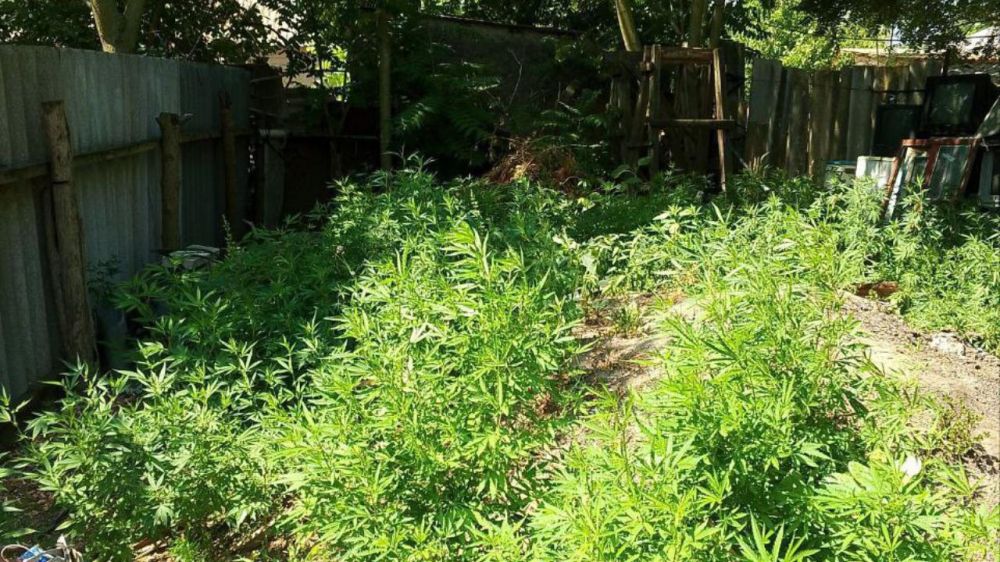 � ���������� ������� ���������� ������� �������� ���������� ��������������� �������