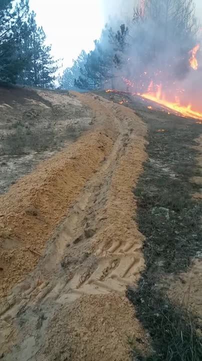 �� ���������� ��� �� "���������� ������������� ���������" �� ���� �������� 22 ������