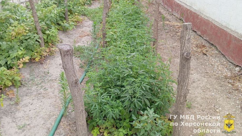 ��������������� ���������� ������� ���������� ��������� ������� � ������ ����������� ������