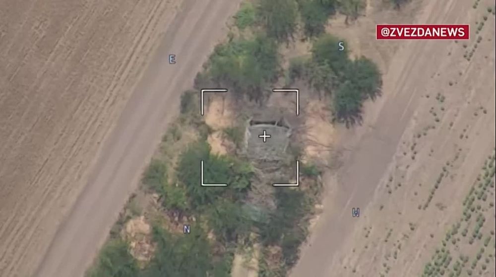 �� �� ���������� ������������ �109 Paladin ������������� ����������� �������