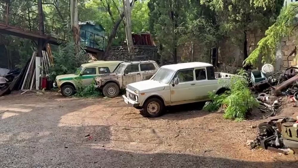 ����� ��������: �� �������� � ����� ����������