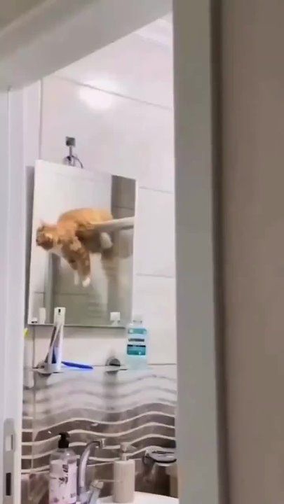 ��������� ����!. ��������-����� ���������� �������