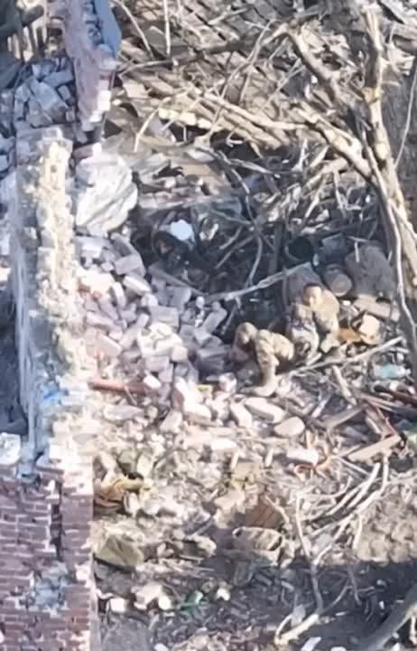 ������� ����� ����� ���������� FPV-����: ������, ������� �� ������ ������� �� �������� � ���� �����