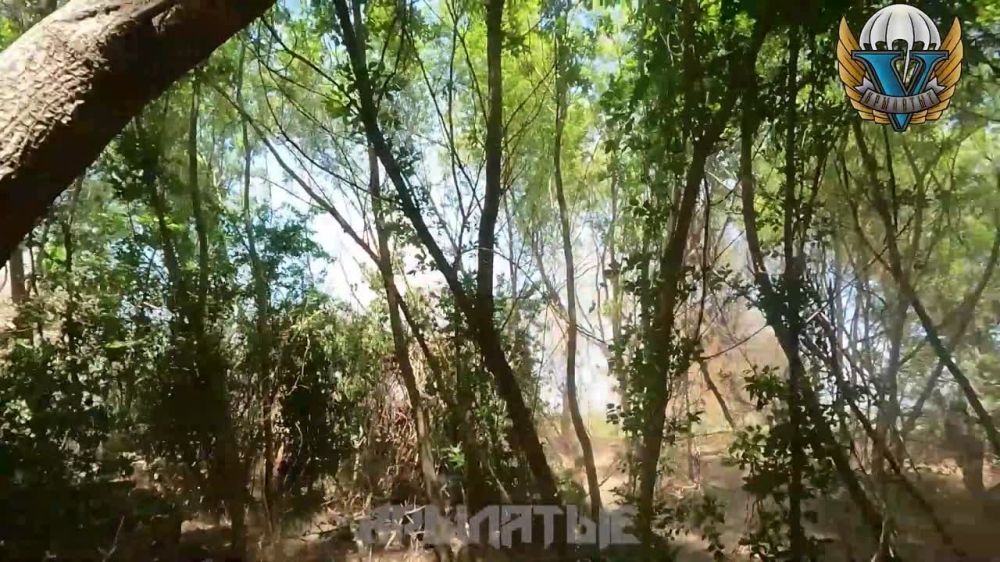 ������ �������������-����������� �� ������ �� ������ ������ ������ � ���������� �������