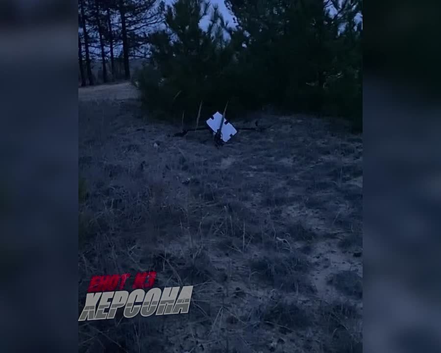 ���� �� �������: � ��������� ����� ����������� ��� �� ������� ����� ����� ������