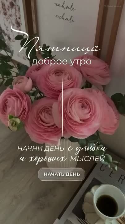 ���� �������.... ���������� ��������