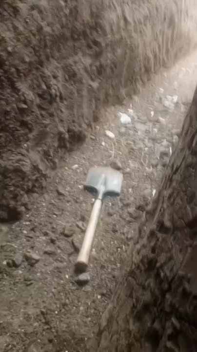 ��� ��� ����� ���������� ����������