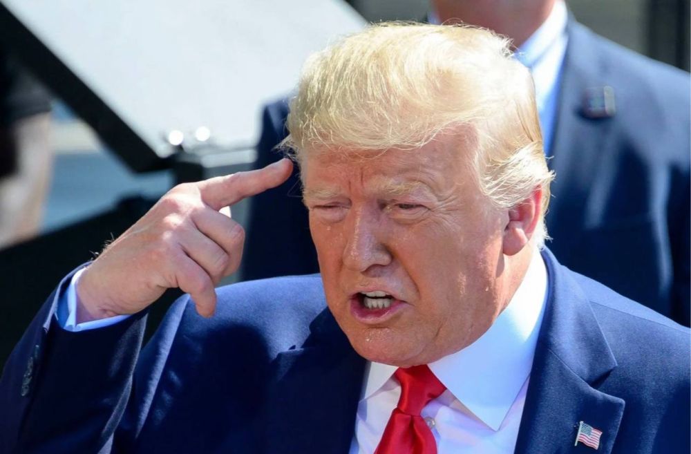 ����� ����������: ���������� ����������. ��� ����� ���������� ������ ��� �������? ��������� �������� ��������� ����������� ��� ����������� ������� ������, ����� Telegram-������ ��������: BRIEF #�����堗 1