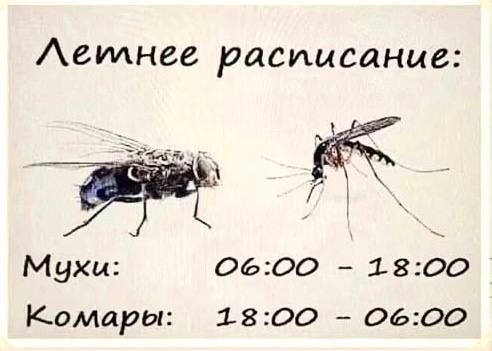 ��, ���� �������! ����� �� � ����, ����� � �� ����, �� ����, �� ������, �� ����