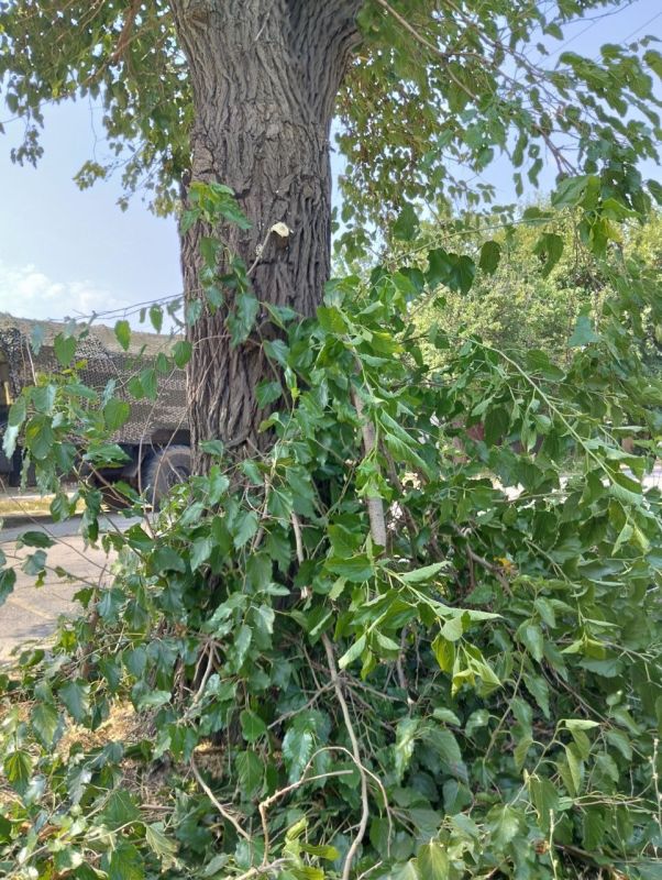 �������� ������� �������� � ���������