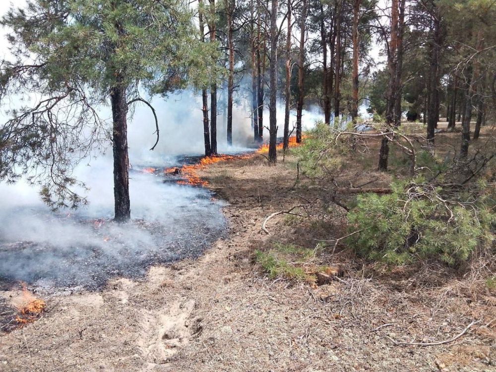 ���������� ���������������� ��������������� ��������� ���������� ������ � ������� ��������