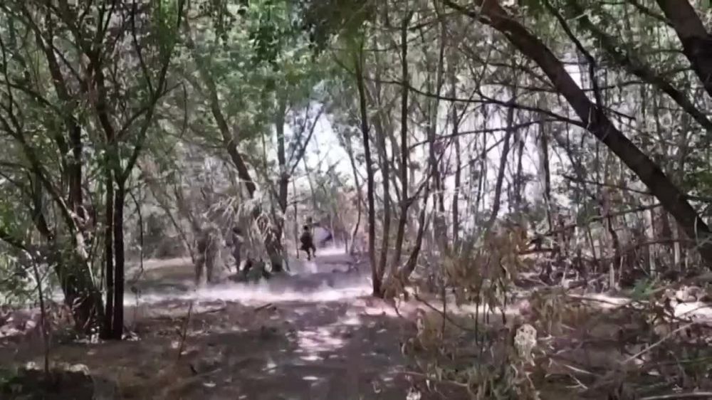 ���������� ������������ ���������� ����� ���������� ��� �� ������������ ������ � ���������� �������