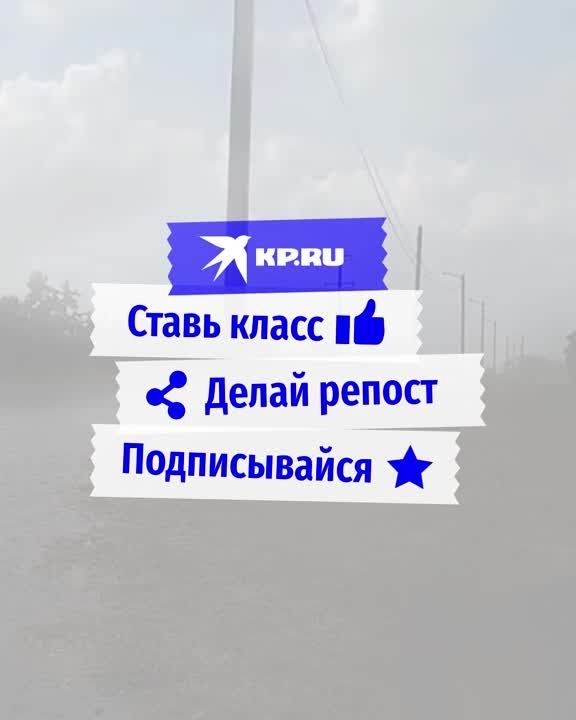 � ���������� ������� ������ ��������