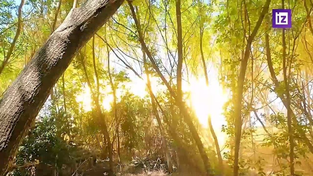 ���������� ������������ ���������� ����� ���������� ��� �� ������������ ������ � ���������� �������